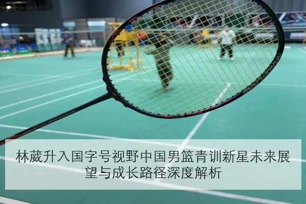 维斯塔潘升级包效果显现红牛排位赛优势全面复盘